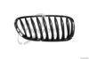 TRUCKTEC AUTOMOTIVE 08.62.246 Radiator Grille